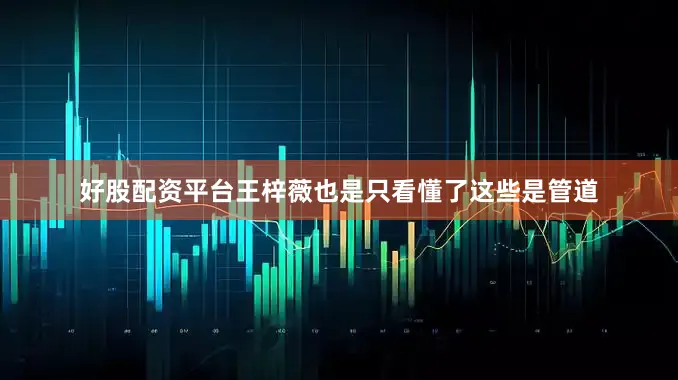 好股配资平台王梓薇也是只看懂了这些是管道