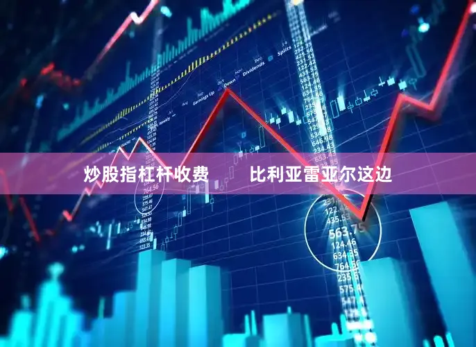 炒股指杠杆收费        比利亚雷亚尔这边