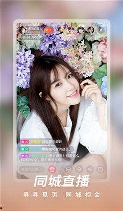 洗濯屋在线播放下载,在线播放与下载，揭秘情感救赎之旅