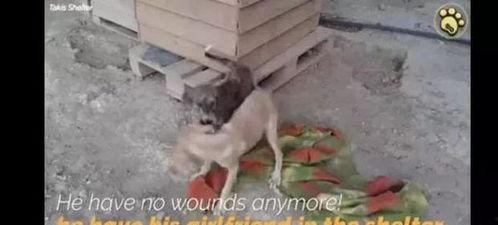 亚洲肛交无码迅雷链接,揭秘神秘无码迅雷链接背后的肛交世界