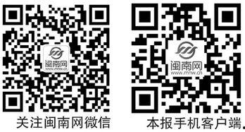 闽南网新闻爆料,揭秘某事件背后真相